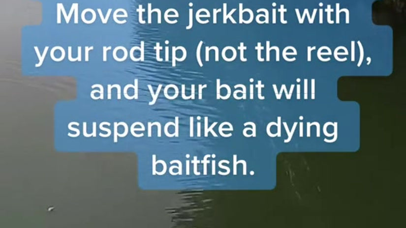 move a jerkbait with your rod tip-not the reel
